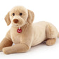 Classic Dog Labrador Liam - XL 74cm