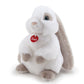 Classic Farm Rabbit Clemente
