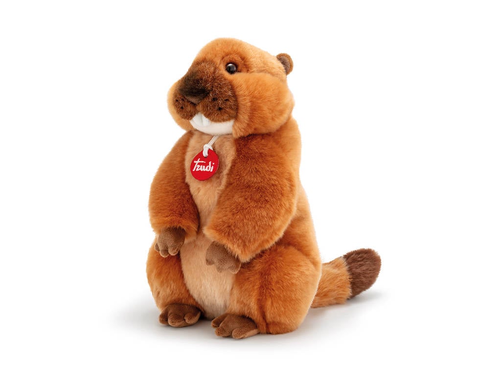 Classic Forest Marmot / Large Ground Squirrel - 30cm