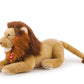Classic Exotic Lion Narciso