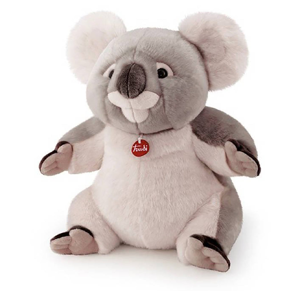 Classic Exotic Koala Jamin - XL 49cm