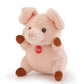 Sweet Collection Pig - 9cm