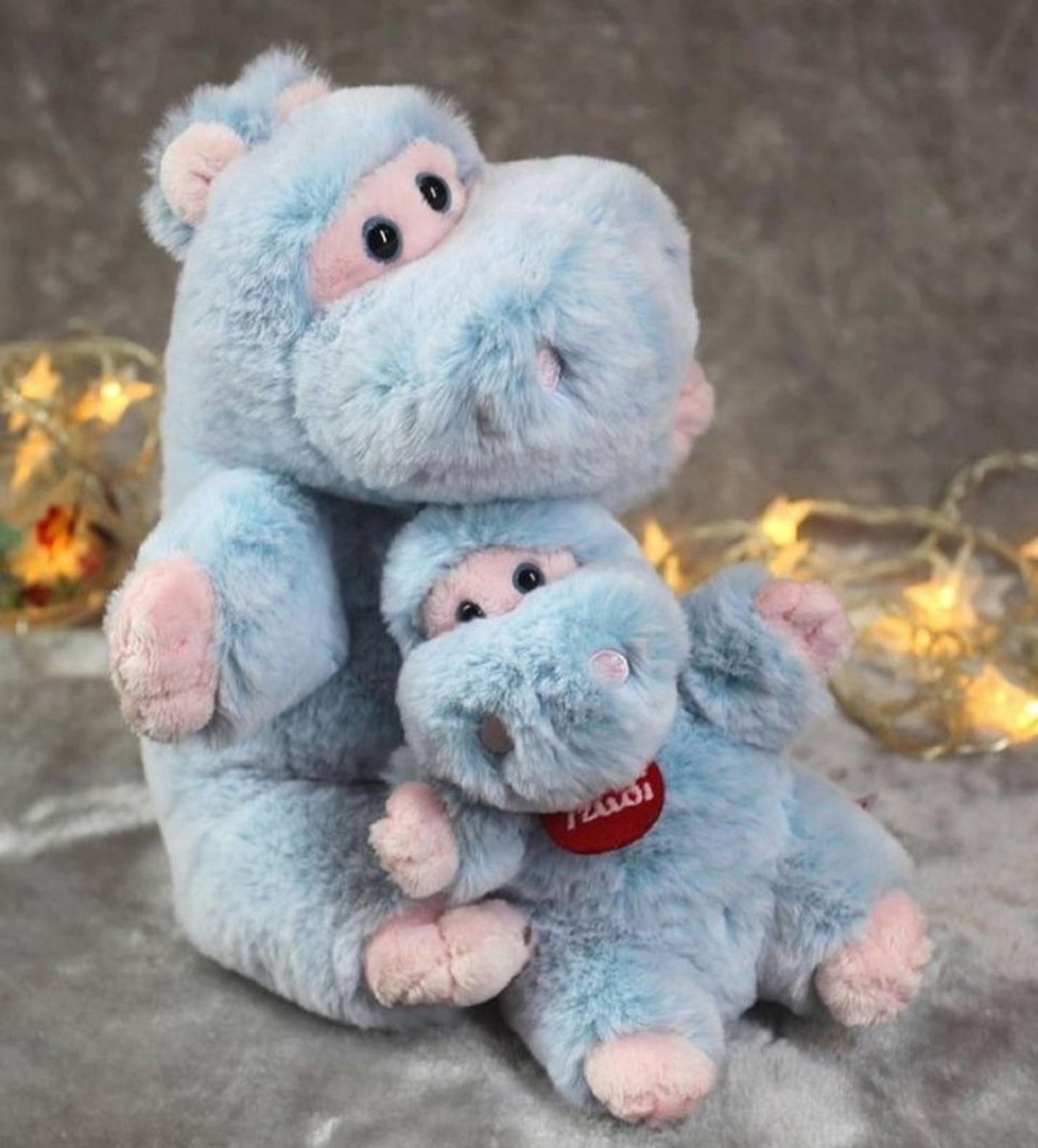 Cashmerini Hippo