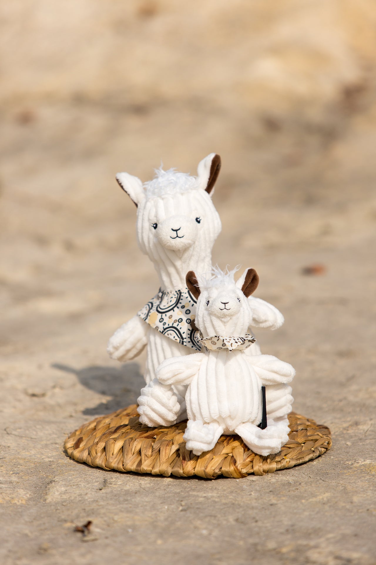 Original Muchachos the Llama