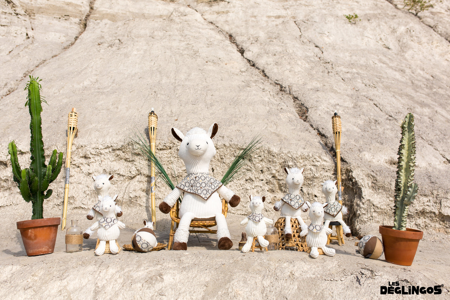 Activity Ball Muchachos the Llama