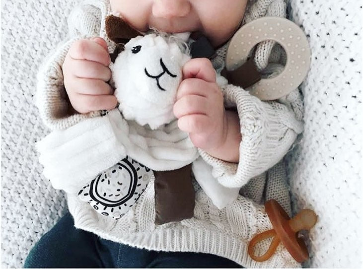 Activity Rattle and Teether Muchachos the Llama