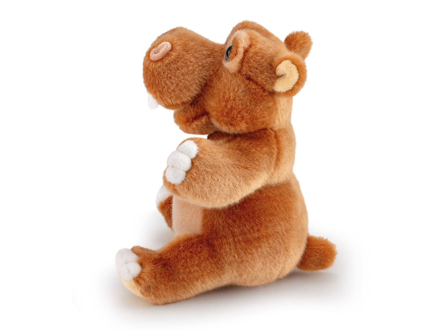 Classic Exotic Hippo Phillip