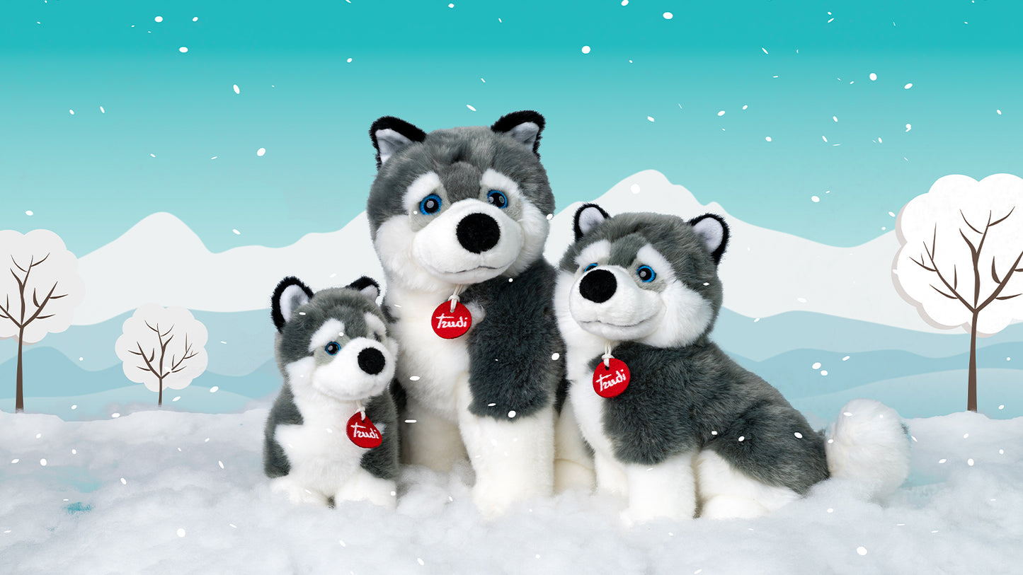 Classic Dog Husky Marcus - XL 60cm