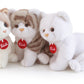 Classic Kitten Brad White & Beige - S 24cm