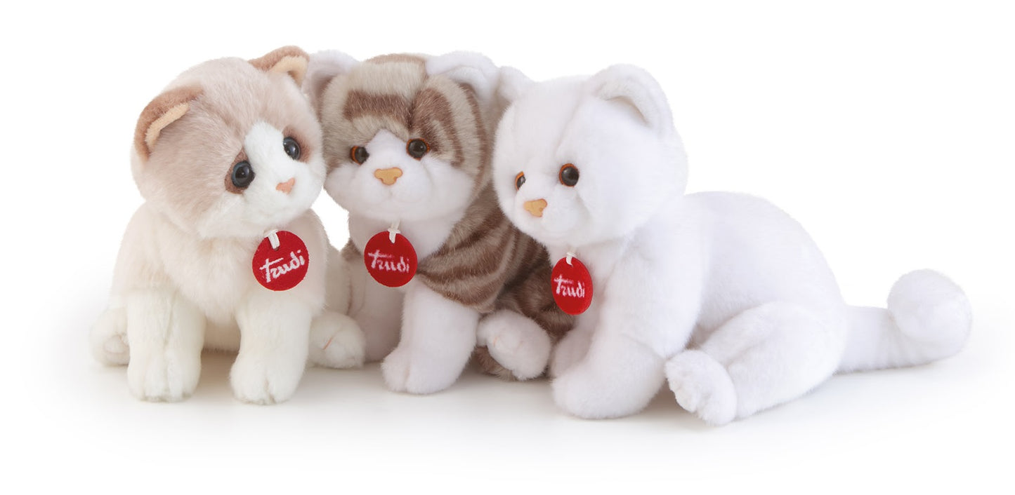 Classic Kitten Brad White & Grey - S 24cm