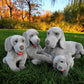 Classic Dog Weimaraner Wolfgang - XL 63cm