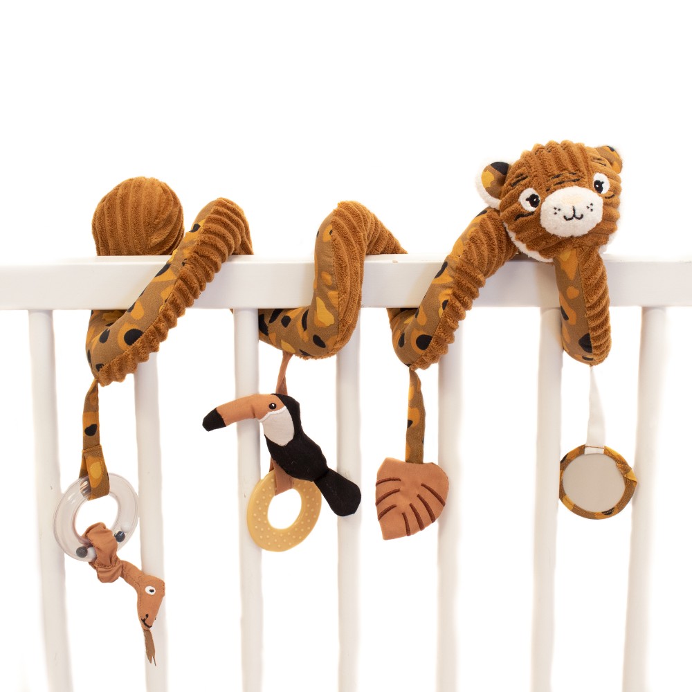 Activity Spiral Speculos the Tiger