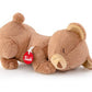 Nap Friend Teddy Bear - 23cm