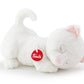 Nap Friend Kitty Cat - 23cm